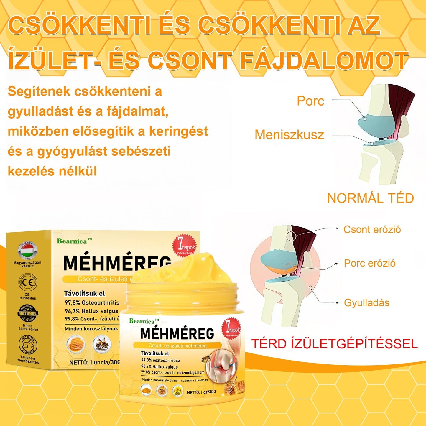 🍯🐝 BEARNICA™ Bee Venom Advanced ízület- és csontkezelő krém🔥 (Utolsó napi akció, 80% kedvezmény)