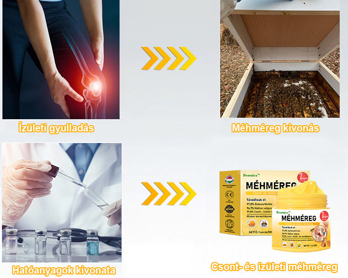 🍯🐝 BEARNICA™ Bee Venom Advanced ízület- és csontkezelő krém🔥 (Utolsó napi akció, 80% kedvezmény)