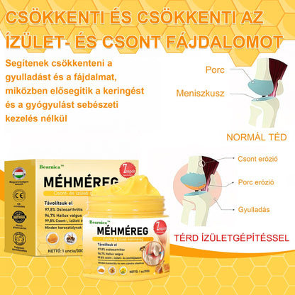 🍯🐝 BEARNICA™ Bee Venom Advanced ízület- és csontkezelő krém🔥 (Utolsó napi akció, 80% kedvezmény)